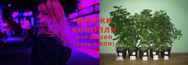 прущие грибы Нязепетровск