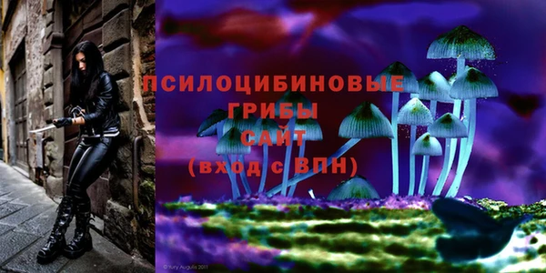 мдма Осинники
