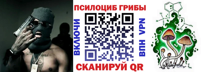 Галлюциногенные грибы Magic Shrooms  сколько стоит  Холмск 